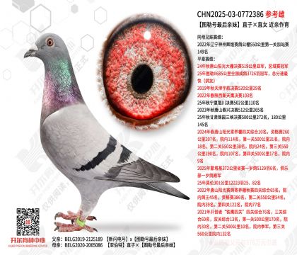 ͼ�պ��������ֱ�ӡ�ֱŮ ��������