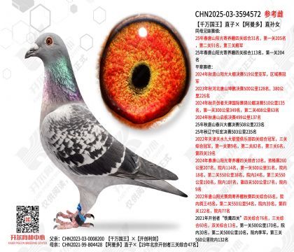 ǧ�����ֱ�ӡ�������ֱ��Ů