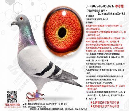 ��������ŷֱ�ӡ�22����ɽ������Ĺ�54��