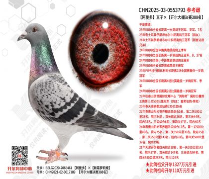 ������ֱ�ӡ������������388��