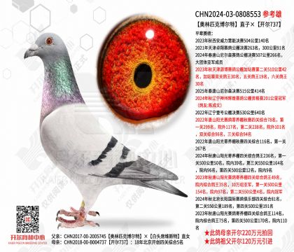 ����ƥ�˲�����ֱ�ӡ�����737