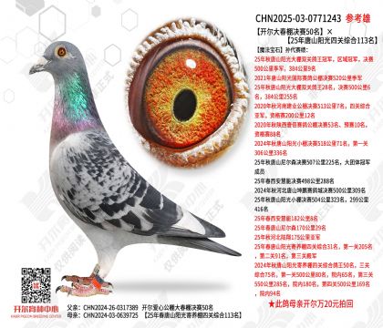 �����������50����25����ɽ�����Ĺ��ۺ�113��