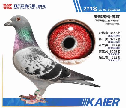 2025�꿪����������Ӽ�վ��273�����ۣ�