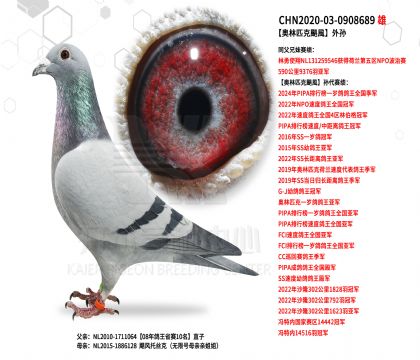 2����20-0908689