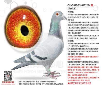 2����0861284