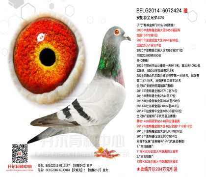 2����BELG2014-6072424