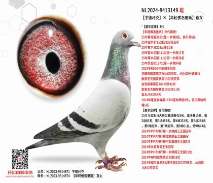 2����24-8413149