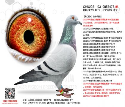 2����-0857477