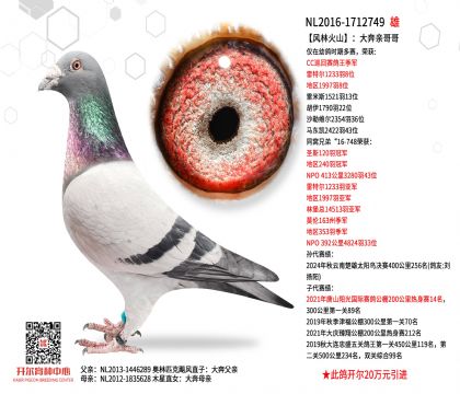 2����16-1712749