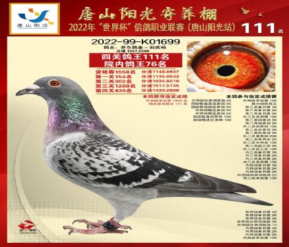 2����22-K01699