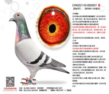 2����17-0026057