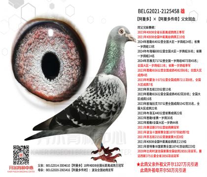 2����21-2125458