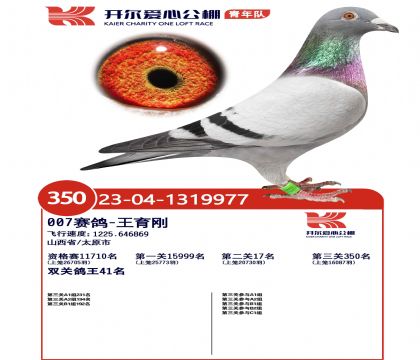 2����1319977