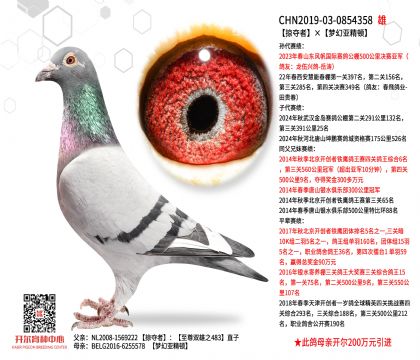 2����19-0854358