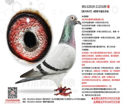 2����19-2125189