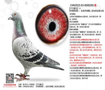 2����23-0008200