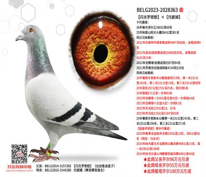 2����23-2028363