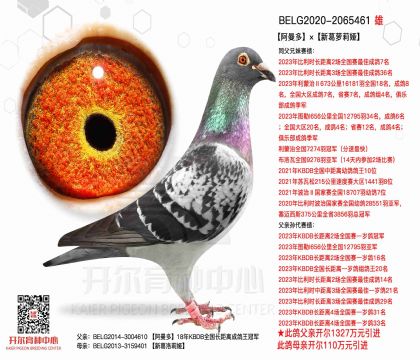 2����2065461