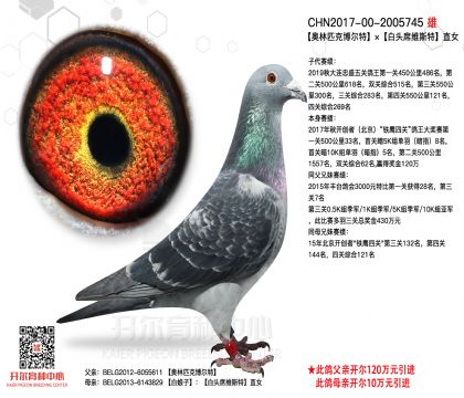 2����-2005745