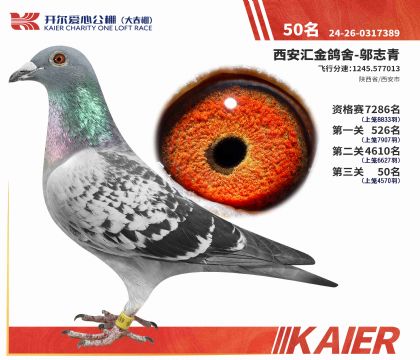 2����24-0317389