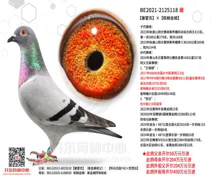 3ĸ��-BE2021-2125118