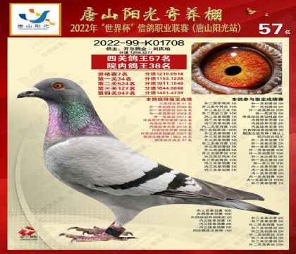 3ĸ��22-99-K01708