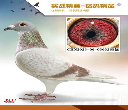 MEITU_20260329_123110075