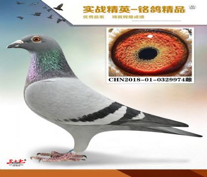 MEITU_20260329_123217748