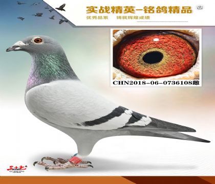 MEITU_20260329_123300692