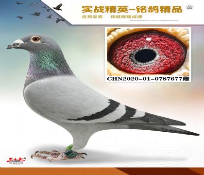 MEITU_20260329_123333836