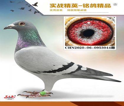 MEITU_20260329_123432833