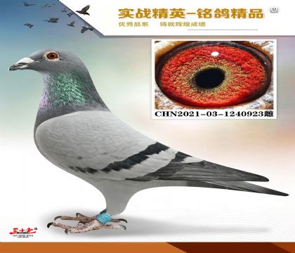 MEITU_20260329_123451297