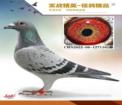 MEITU_20260329_123520599