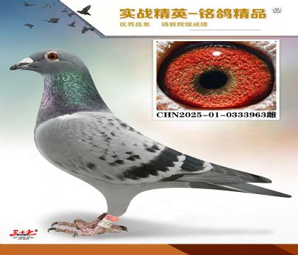 MEITU_20260329_123540155