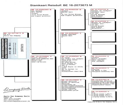 ԭʼѪͳ��ɨ���