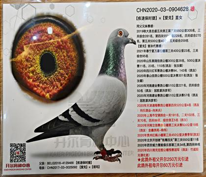 ����ʱ��Ƭ