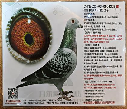 ����ʱ��Ƭ