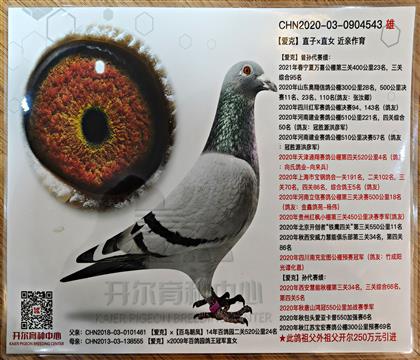 ����ʱ��Ƭ