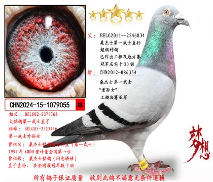 ���ص��Ƽ���ɣ��ʿ��һ��ʿֱ��X��һ��ʿ����Ů