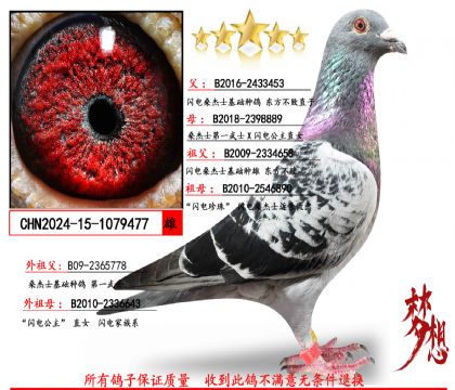 ���������ȣ�����ɣ��ʿ��ʯ��ĸ