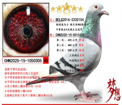 ���Ƽ���������ķX�ǹ���X˫�عھ������Ǿ�