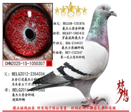 ɣ��ʿ��������3807