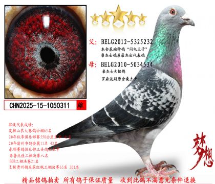 ���������ӣ�ɣ��ʿ��������