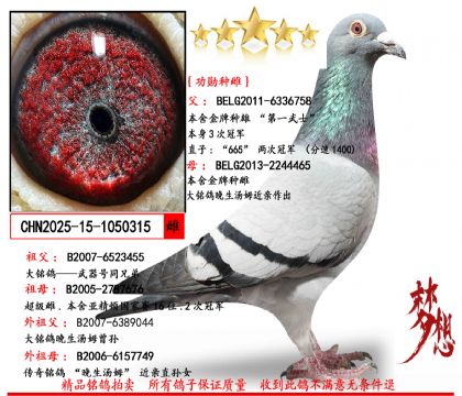 ���Ƽ���ɣ��ʿ��һ��ʿ����ѫ�ִơ�