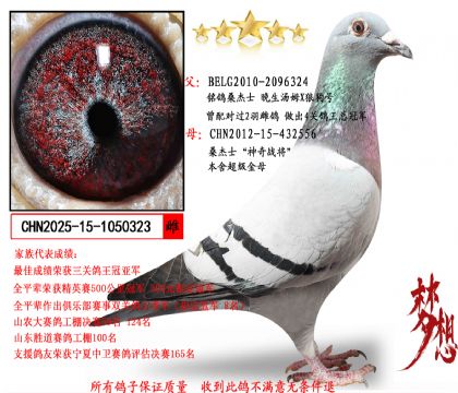 ɣ��ʿ��������ķX�ǹ��š�Xɣ��ʿ������ս����	