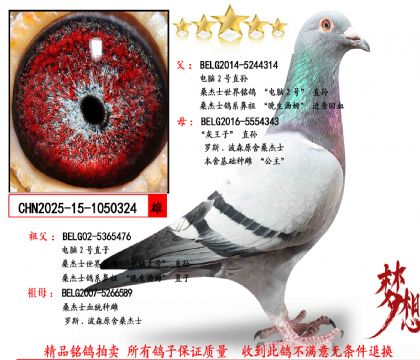 �������Ƽ���ɣ��ʿ����2��ֱ��X������ֱ��