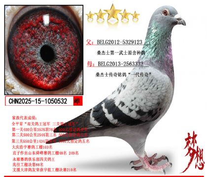 ɣ��ʿ����һ��ʿ���ִ�