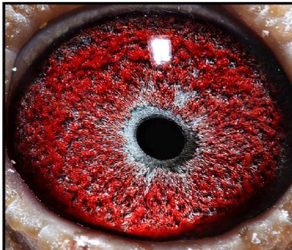 2025-15-1050307��_����1