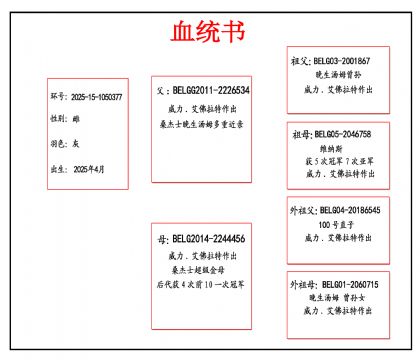 2025-15-1050377Ѫ_����