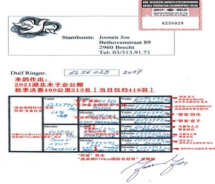 ����Ѫͳ��